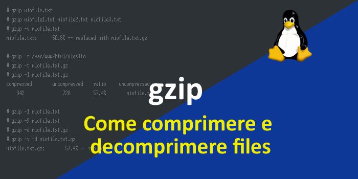 Come comprimere e decomprimere files usando gzip in Linux, con esempi.